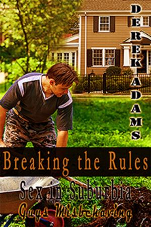 Cover of the book Breaking the Rules by Heidi Hutchinson