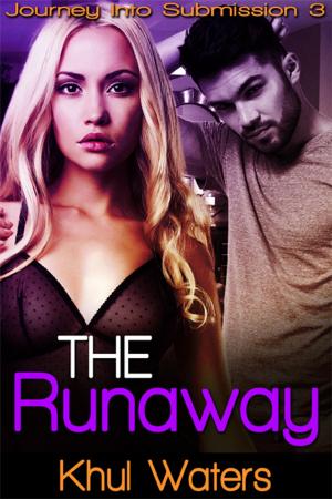 Cover of the book The Runaway by Gabriella Bradley