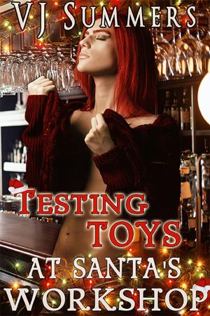 Cover of the book Testing Toys at Santa's Workshop by Keiko Alvarez
