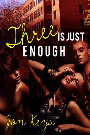 Cover of the book Three is Just Enough by Katriena Knights