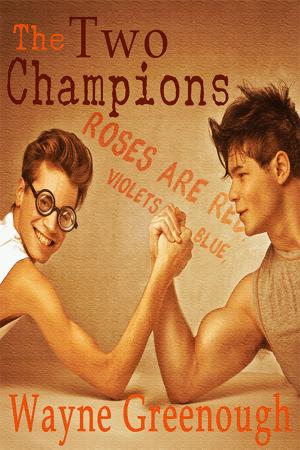 Cover of the book The Two Champions by Celine Chatillon