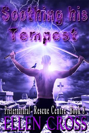 Cover of the book Soothing His Tempest by Tianna Xander
