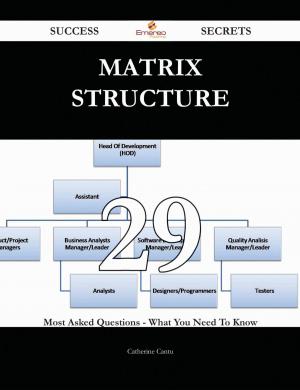 Cover of the book Matrix Structure 29 Success Secrets - 29 Most Asked Questions On Matrix Structure - What You Need To Know by Charles Burt