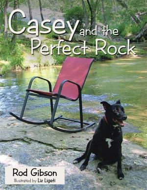 Cover of Casey and the Perfect Rock