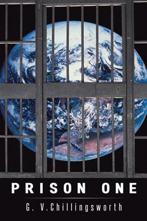 Book cover of Prison One
