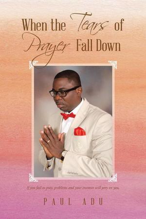 Cover of the book When the Tears of Prayer Fall Down by Peter A. Magaro PhD