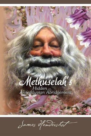 Cover of the book Methuselah's Hidden Antediluvian Abridgement by Daniel A. Fried