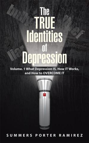 Cover of the book The True Identities of Depression by Janice Potter Valentine