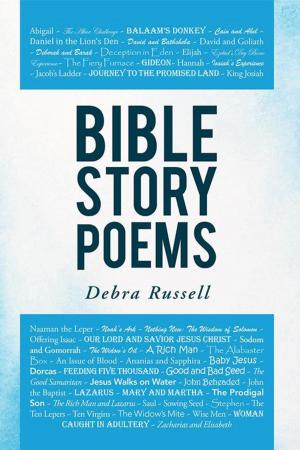 Book cover of Bible Story Poems