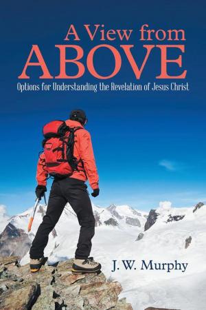 Cover of the book A View from Above by Bishop Henry R. Griffin