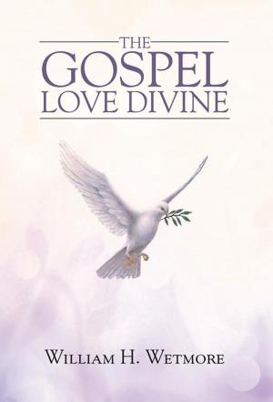 bigCover of the book The Gospel: Love Divine by 
