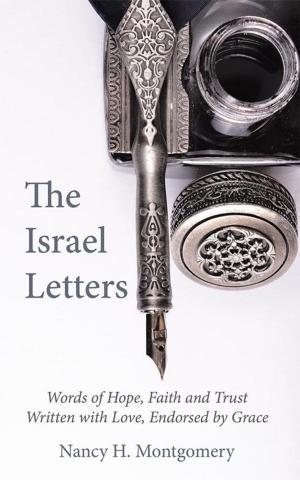 Cover of the book The Israel Letters by James A. Hambrick