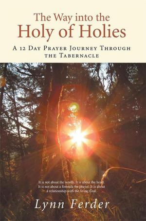 Cover of the book The Way into the Holy of Holies by Lynn Ferder