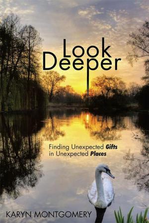 Cover of the book Look Deeper by Paulette Ravenel Woodside