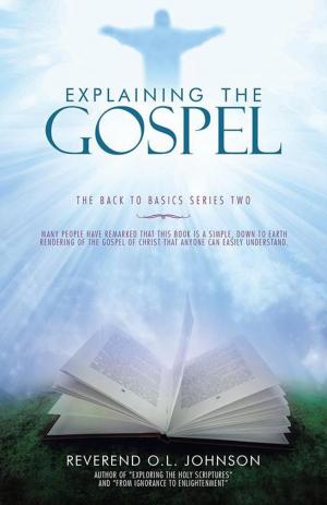 Cover of the book Explaining the Gospel by William David West