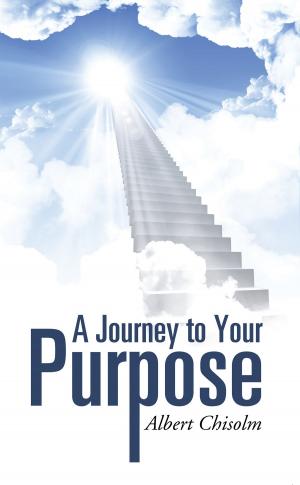 Cover of the book A Journey to Your Purpose by Robert Martin
