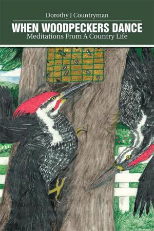 Cover of the book When Woodpeckers Dance by Felicia Hamer