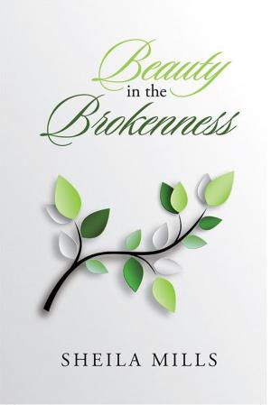 Cover of the book Beauty in the Brokenness by Pamela Johnson