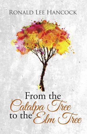 bigCover of the book From the Catalpa Tree to the Elm Tree by 