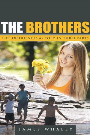 Cover of the book The Brothers by Brenda Hasse
