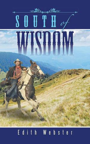 Cover of the book South of Wisdom by Nicholas Adam
