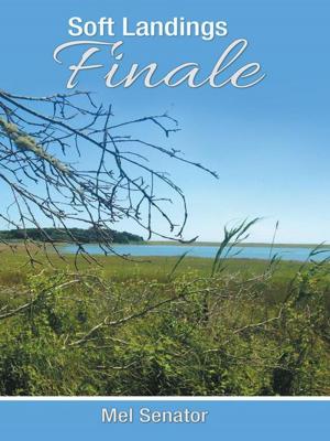 Cover of the book Soft Landings Finale by Susan Sellmeyer