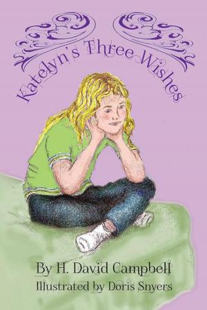 Book cover of Katelyn's Three Wishes