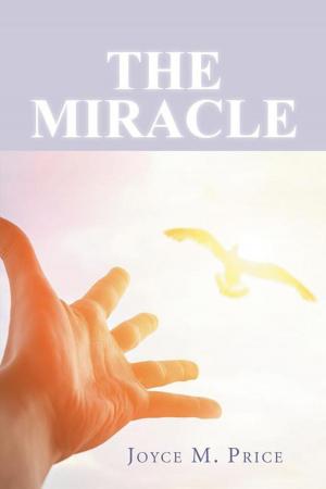 Cover of the book The Miracle by Jos Douma