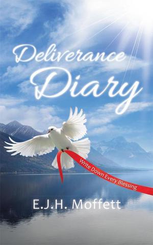 Cover of the book Deliverance Diary by Bruce Mason
