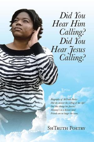 Cover of the book Did You Hear Him Calling? Did You Hear Jesus Calling? by 司徒法正