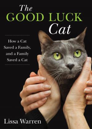 Cover of the book Good Luck Cat by David Diaz