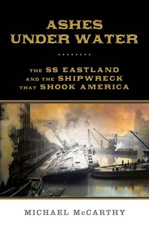 Book cover of Ashes Under Water