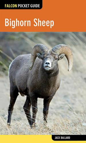 Book cover of Bighorn Sheep