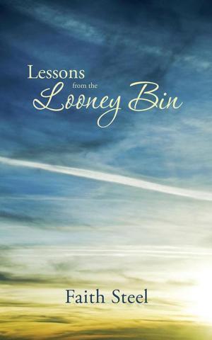 Book cover of Lessons from the Looney Bin