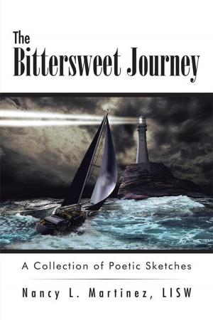 Cover of the book The Bittersweet Journey by Alan Ashley
