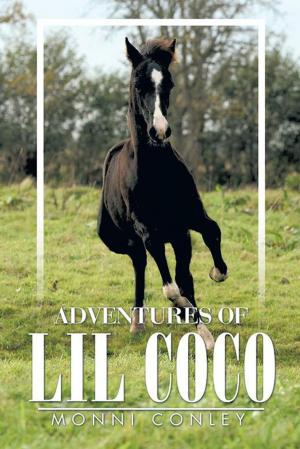 Cover of the book Adventures of Lil Coco by Michael R. Tate