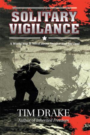 Cover of the book Solitary Vigilance by Frosty Wooldridge