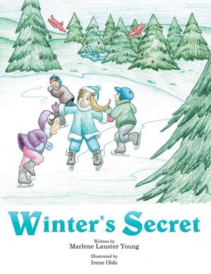 Cover of the book Winter's Secret by Azira Ndjassue