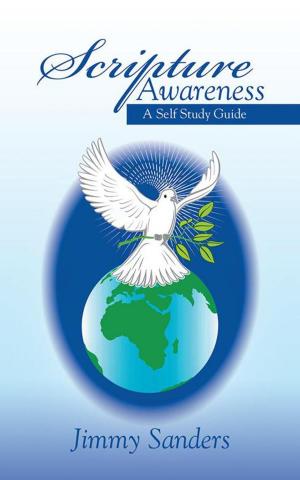 Cover of the book Scripture Awareness by Becky J