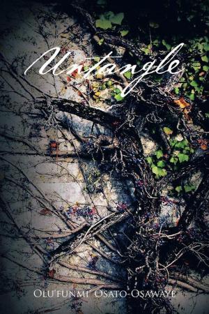 Cover of the book Untangle by Maureen Parr