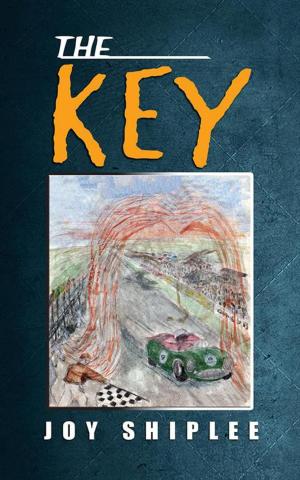 Cover of the book The Key by Hugo van Bever