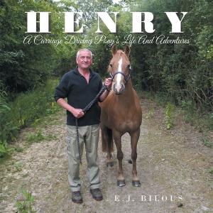 Cover of the book Henry by J.G.Tee