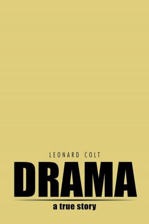 Cover of the book Drama by Joseph Shenk Hertzler