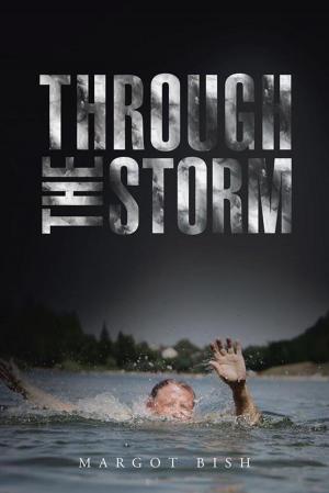 Cover of the book Through the Storm by Lunar K