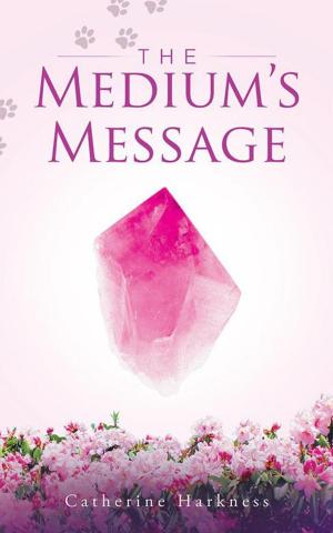 Cover of the book The Medium’S Message by Shel Weissman