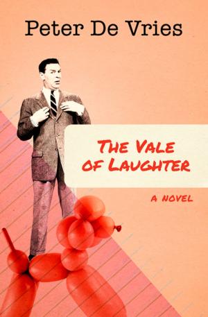 Cover of the book The Vale of Laughter by Zilpha Keatley Snyder