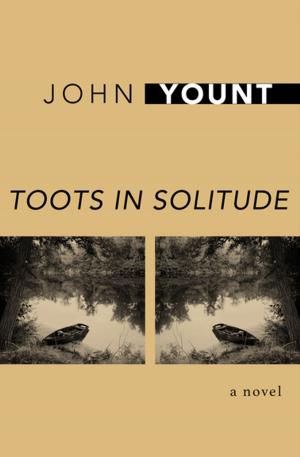 Cover of the book Toots in Solitude by Donald McCaig