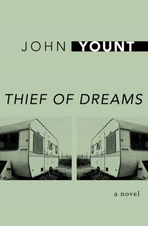 Cover of the book Thief of Dreams by David Storey