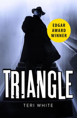 Cover of the book Triangle by Holly Barbo