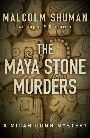 Book cover of The Maya Stone Murders